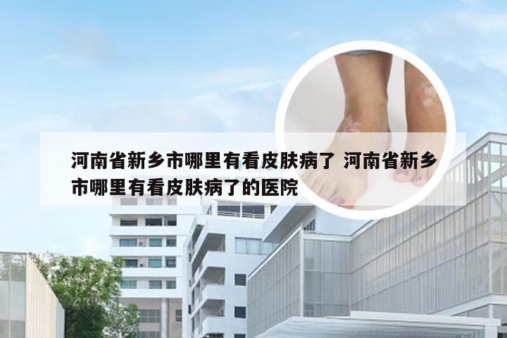 河南省新乡市哪里有看皮肤病了 河南省新乡市哪里有看皮肤病了的医院