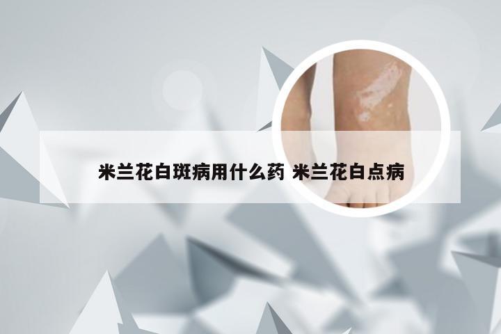 米兰花白斑病用什么药 米兰花白点病