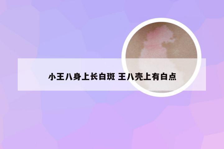 小王八身上长白斑 王八壳上有白点