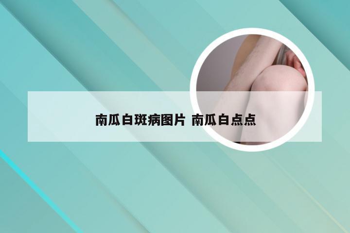 南瓜白斑病图片 南瓜白点点