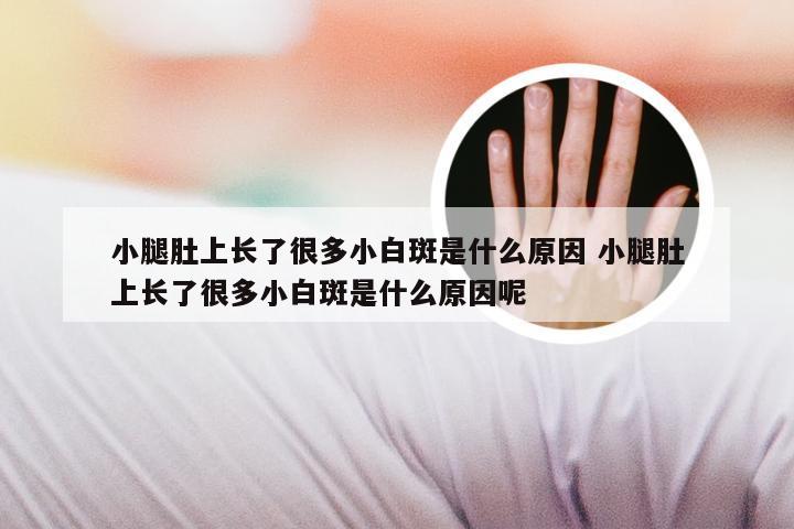 小腿肚上长了很多小白斑是什么原因 小腿肚上长了很多小白斑是什么原因呢