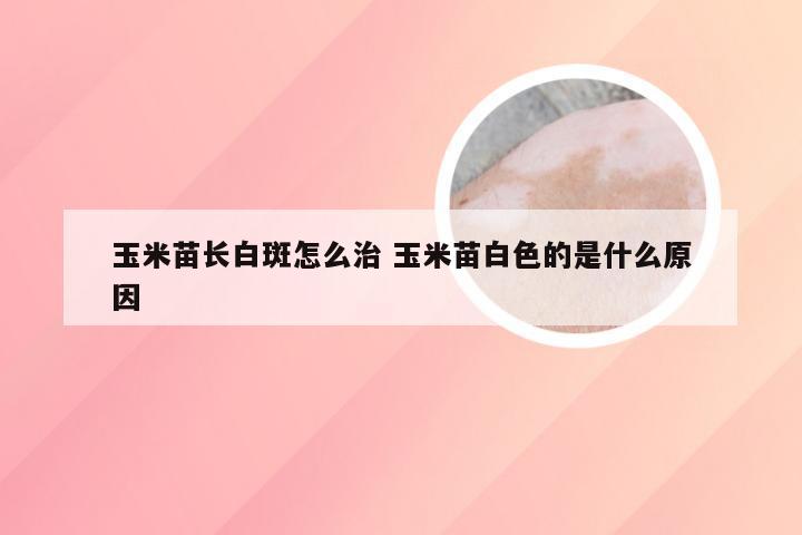 玉米苗长白斑怎么治 玉米苗白色的是什么原因