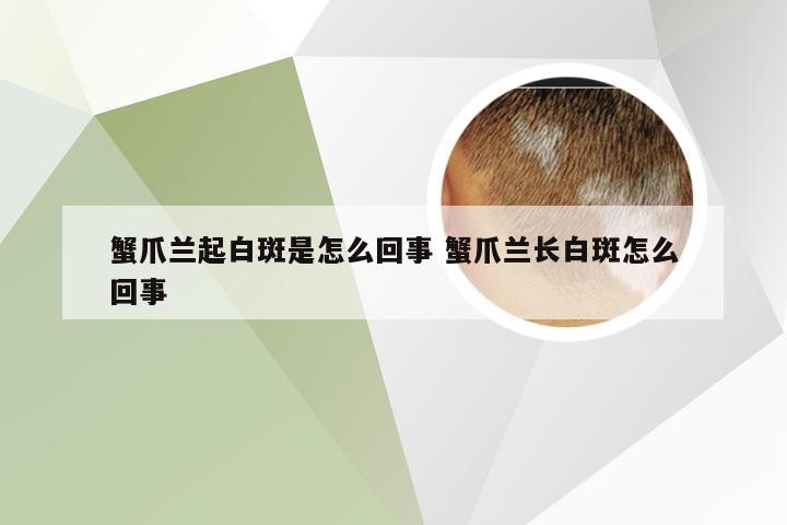 蟹爪兰起白斑是怎么回事 蟹爪兰长白斑怎么回事