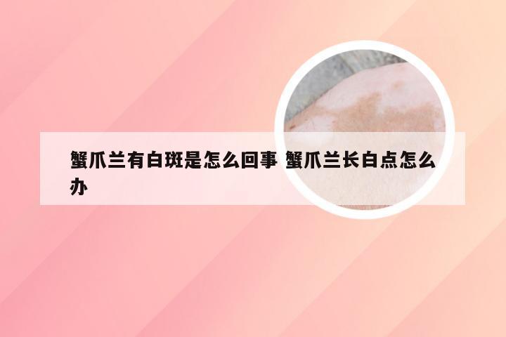 蟹爪兰有白斑是怎么回事 蟹爪兰长白点怎么办