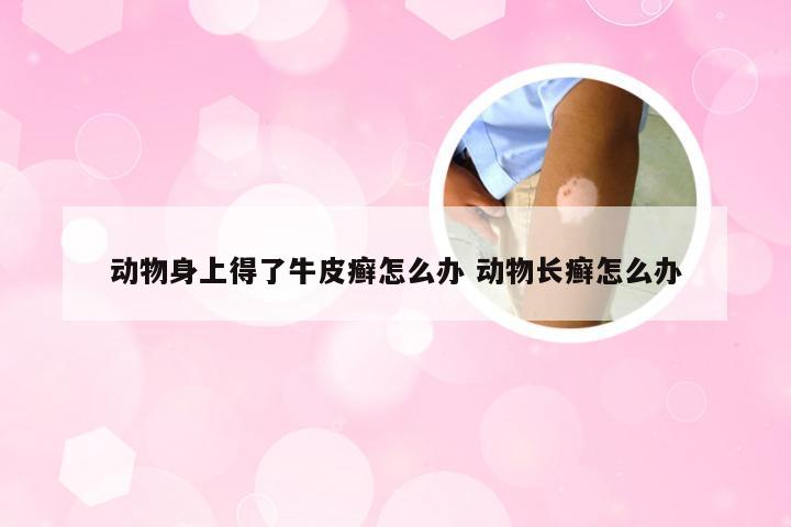 动物身上得了牛皮癣怎么办 动物长癣怎么办