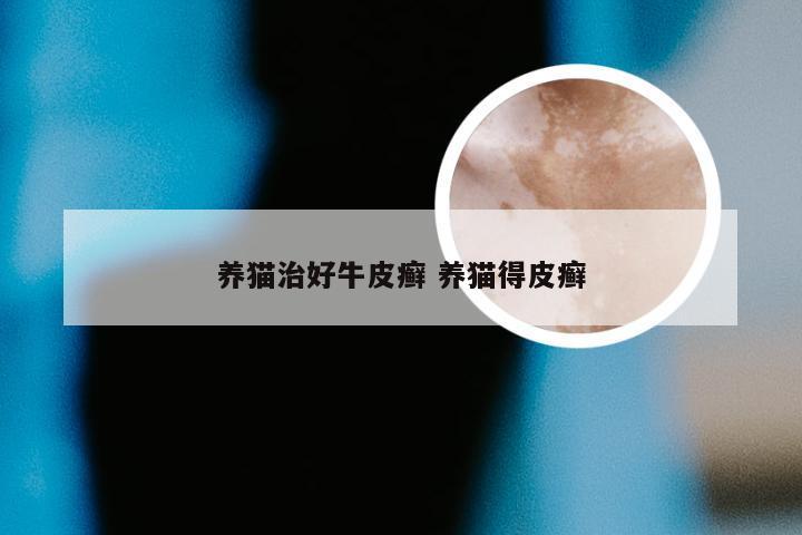 养猫治好牛皮癣 养猫得皮癣